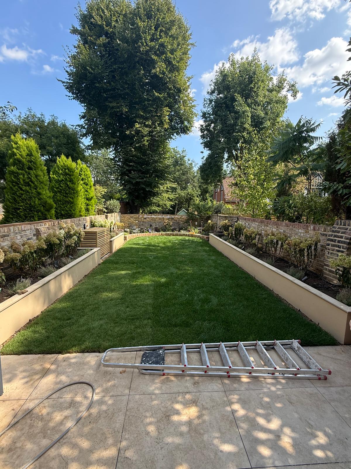 Modern glass extension with garden view